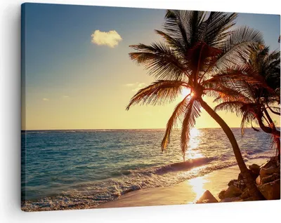 Produktbild von Bild auf Leinwand - Leinwandbild - Wolke exotischer Palm- Landschaft - 70x50cm - Wand Bild - Wanddeko - Leinwanddruck - Bilder - Kunstdruck - Leinwand bilder - Wandkunst - AA70x50-3180