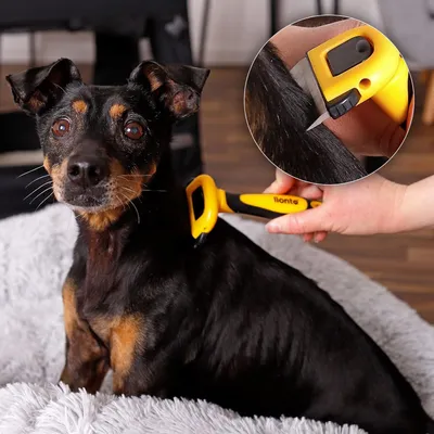 Produktbild von Unterwollbürste für Hunde, Hundehaarbürste, Unterwollkamm, Fellpflegebürste, Hundekamm, schmal