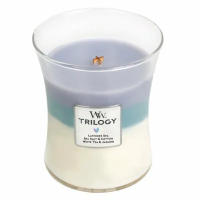 Obrázok produktu pre WoodWick 92965, Ďalší, Modrá, Purpurová, Biela, Eukalyptus, Levanduľa, 1 kusov