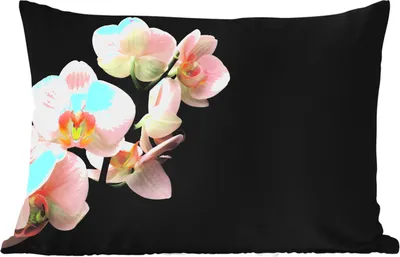 Produktbild von MuchoWow® Outdoor Kissen - Orchidee - Blumen - Rosa - Stilleben - Flora - 60x40 cm - Wetterfest - Lounge Kissen - Zierkissen - Kissen für Innenräume
