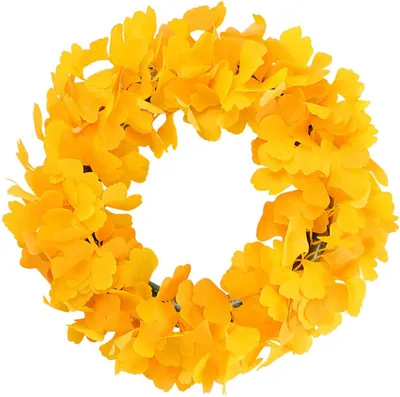 Produktbild von Ginkgo-biloba-Weihnachtskranz – 40 cm, flexibel, Weihnachtsdekoration