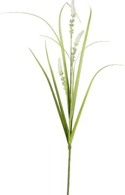 Produktbild von artplants.de Kunst Zweig Lampenputzergras KOVLIN mit Rispen, Creme-grün, 65cm - Deko Graszweig