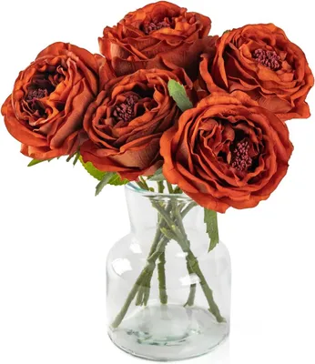 Produktbild von Kunstblumen Rosen – Set mit 5 Stück – Real Touch Rosen mit Stiel – Künstliche Blumen – Orange
