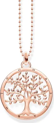 Produktbild von Kette rosé Thomas Sabo KE1660-415-40
