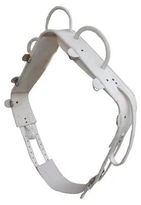 Produktbild von Voltigiergurt MASTER ECO Gurt zum Voltigieren aus Leder weiß Gr. WB 057/87 B Wahl
