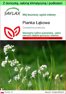 Zdjęcie produktu dla SAFLAX - Garden to go - Pianka Łąkowa - 100 Nasiona - Z doniczką, pokrywą klimatyczną i podłożem do uprawy - Cardamine pratensis