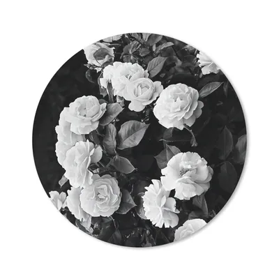 Produktbild von MuchoWow® Mauspad Mousepad Blumen - Schwarz und Weiß - Natur - Pflanzen - Rosen 20x20 cm - Mousepads - Maus Mat - Pad - Mausunterlage - Schreibtischmatte