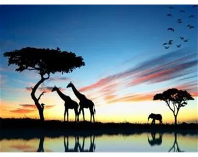 Produktbild von Diamond Painting Afrika 50x40 cm