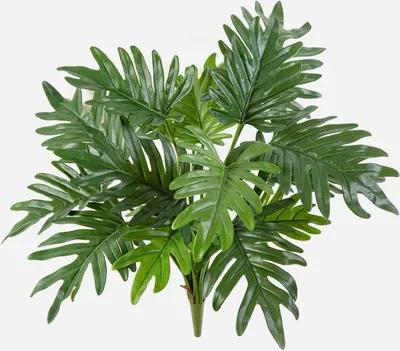 Produktbild von artplants.de Kunstpflanze Philodendron Selloum Aislyn, Steckstab, 50cm - Grünpflanze künstlich