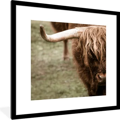 Produktbild von MuchoWow® Gerahmtes Poster Schottischer Highlander - Nahaufnahme - Hoorn 40x40 cm - Poster mit Schwarzem Bilderrahmen Wandposter Rahmen Foto Bilder - Poster - Plakat im Rahmen