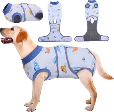 Produktbild von Hundebody Nach Op Kastration Rüde Hündin Leckschutz Hundclazzicom XS-XL