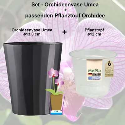 Orchideentöpfe Transparent Mit Löchern – 14 Cm, Aus Kunststoff, Für Sukkulenten & Zimmerpflanzen