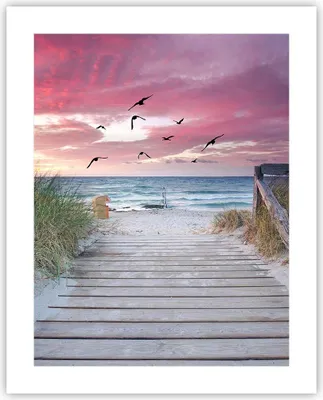Produktbild von Poster - Poster ohne Rahmen - Strand Sand Vögel - 40x50 cm - Wand Bild - Wanddeko - Wandbilder - Kunstposter - Wandposter - Bilder - Kunstdruck - Wanddekoration - Wandbild - P2XPA40x50-4994