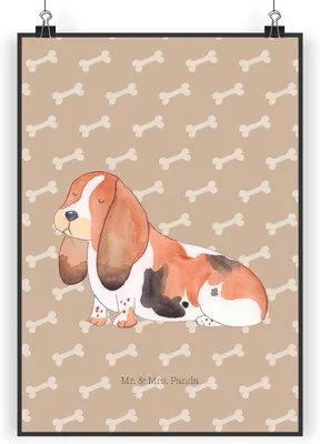 Produktbild von Mr. & Mrs. Panda Bild Hund Basset Hound DIN A5 - Hundeglück - Geschenk, Deko, typografie poster, Süß, drucke, kunstdruck, Sprüche, wanddeko