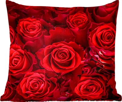 Produktbild von MuchoWow® Zierkissen Sofakissen Wohnzimmer Dekokissen 40x40 cm Blumen - Rosen - Rot - Foto Kissen - Schlafzimmer Dekoration
