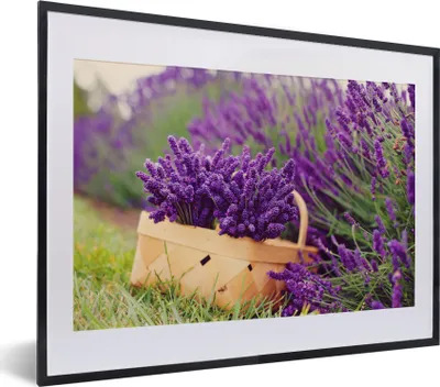 Produktbild von MuchoWow® MuchoWow® Gerahmtes Poster Frischer Lavendel in einem Korb 40x30 cm - Poster mit zchwarzem Bilderrahmen - Bilderrahmen - Poster im Rahmen