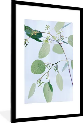 Produktbild von MuchoWow® Gerahmtes Poster Eukalyptuszweige mit Blättern 60x90 cm - Poster mit Schwarzem Bilderrahmen Wandposter Rahmen Foto Bilder - Dekoration - Wandposter Wohnzimmer - Hochwertig