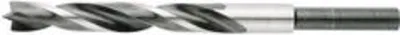 Produktbild von PTG RATIOLINE-Holzspiralbohrer 12,00 mm (Schaft 10 mm)