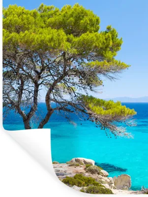 Produktbild von MuchoWow® Wandtattoo Wandsticker Wandaufkleber Baum - Meer - Tropisch - Sommer 90x120 cm Selbstklebend und Repositionierbar - Faltenfrei