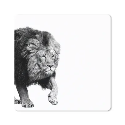 Produktbild von MuchoWow® Mauspad Mousepad Löwe - Tiere - Schwarz - Weiß 30x30 cm - Mousepads - Maus Mat - Pad - Mausunterlage - Gaming