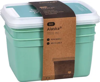 Produktbild von DBP Alaska Gefrierboxen rechteckig 1l 3 Stück Mintgrün