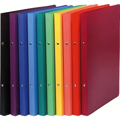 Immagine prodotto di Exacompta 51199E Raccoglitore ad anelli in PP da 500 µm, 4 anelli da 15 mm, formato DIN A4, colori assortiti