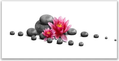 Produktbild von Tulup Leinwand-Bilder 120x60 Wandbild Canvas Kunstdruck Blumen Steine Kunst