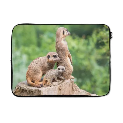 Produktbild von MuchoWow® Laptop Hülle 14 ZollErdmännchen - Baumstumpf - Jungtier Laptoptasche - Laptoptasche - Stoßsicher - Schutzhaube