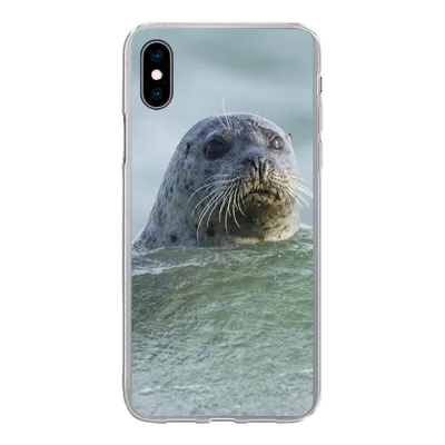 Produktbild von MuchoWow® Handyhülle Schutzhülle Hülle für iPhone Xs Nordsee - Seehund - Wasser Silikon Softcase Handy Hülle - Handytasche