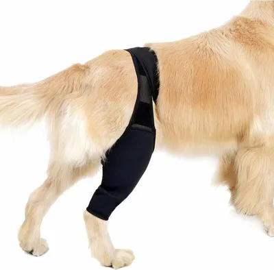 Produktbild von Stützbandage für Vorder- und Hinterbeine, zur Genesung von Verstauchungen bei Hunden, lindert Schmerzen, XS