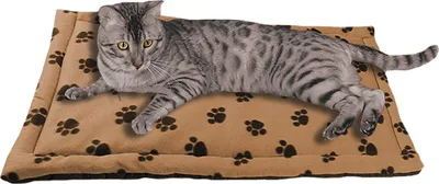 Produktbild von WENKO Multi Tierdecke S Haustier Hundedecke Heimtierdecke 45 x 60 cm Hund Katze