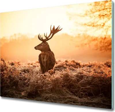 Produktbild von Glas Herdabdeckplatte 60x52 cm Spritzschutz Glasabdeckplatte Schneidebrett Hirsch Sonnenaufgang