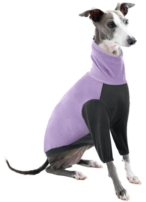 Image de Pull à col rond pour chien, couleur violet, taille M