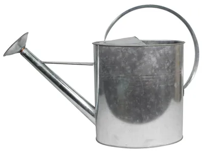 Gießkanne 10L, abnehmbarer Brausekopf, Stahl, 61×20×41 cm