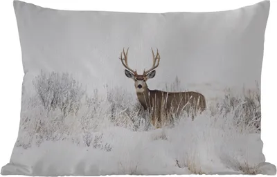 Produktbild von MuchoWow® Outdoor Kissen - Hirsche - Winter - Schnee - Tiere - Jahreszeiten - Weiß - 60x40 cm - Wetterfest - Lounge Kissen - Zierkissen - Kissen für Innenräume