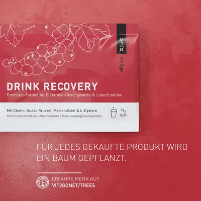 Produktbild von Vit2go DRINK RECOVERY (30 Sachets), veganes Elektrolyt Pulver zum Trinken, Vitamin Pulver Getränk für die Nacht nach der Party, Germany