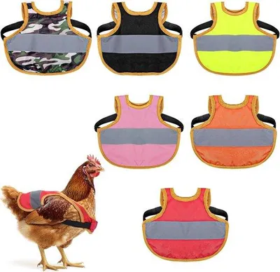 Image de Gilet pour poulets : protection et préservation du plumage - Convient aux volailles, aux oies et aux canards