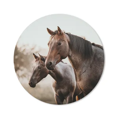 Produktbild von MuchoWow® Mauspad Mousepad Pferde - Natur - Braun 40x40 cm - Mousepads - Maus Mat - Pad - Mausunterlage - Schreibtisch Accessoires