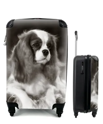 Produktbild von MuchoWow® Koffer Handgepäck Trolley Rollkoffer Kleine Reisekoffer mit 4 Rollen - Schwarz-Weiß-Foto eines Cavalier King Charles Spaniels - Cabin Size < 55x40x23 cm & 55x40x20 cm - Fotokoffer - Kabinenkoffer - Boardgepäck - Reise-Box - Reisekoffer - Reisegepäck - Koffer mit Bild - Trolley für Kinder