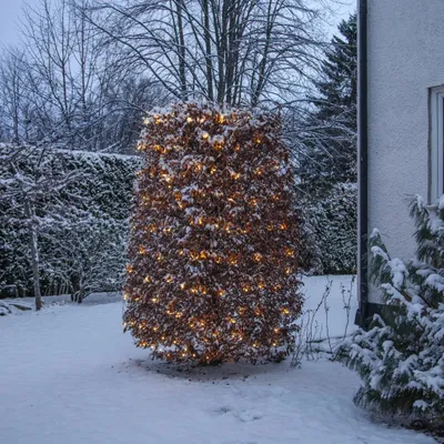 A bush decorated with warm white LED lights in a snowy garden.