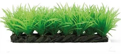 Productafbeelding van Hobby Plant Grassy Stone