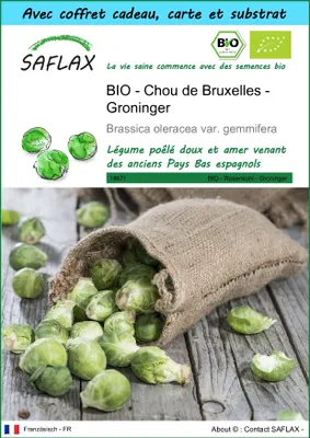 Image de SAFLAX Ensemble-cadeau -- Chou de Bruxelles - Groninger - 30 graines - Brassica