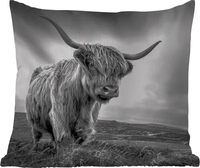Produktbild von MuchoWow® Outdoor Kissen - Kühe - Schottische Hochlandkühe - Natur - Tiere - Schwarz und weiß - 45x45 cm - Wetterfest - Lounge Kissen - Fotokissen - Dekoratives Kissen