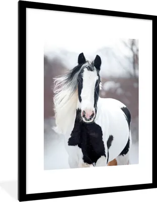 Produktbild von MuchoWow® MuchoWow® Gerahmtes Poster Pferd - Schnee - Winter - Porträt 60x80 cm - Poster mit zchwarzem Bilderrahmen - Wohnzimmer - Dekorationen - Prämie