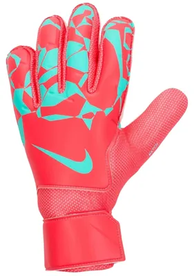 Immagine prodotto di Guanti Nike HQ0257-850 da Unisex