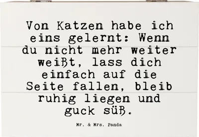 Produktbild von Mr. & Mrs. Panda Geschenkbox Von Katzen habe ich... 22 x 15 cm - Weiß - Geschenk, Spruch Sprüche Weisheiten Zitate Lustig Weisheit Worte, Stubentiger, frustiert, Freundin