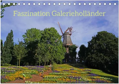 Produktbild von Faszination Galerieholländer (Tischkalender 2025 DIN A5 quer), CALVENDO Monatskalender