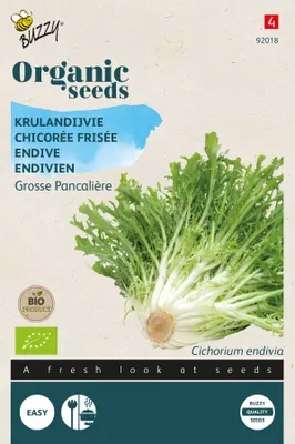Produktbild von Endivien Große Pancalière | Endiviensamen von Buzzy Seeds