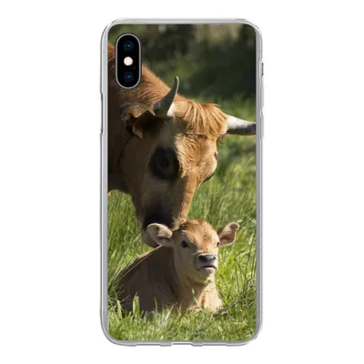 Produktbild von MuchoWow® Handyhülle Schutzhülle Hülle für iPhone Xs Kuh - Gras - Horn - Kalb Silikon Softcase Handy Hülle - Handytasche