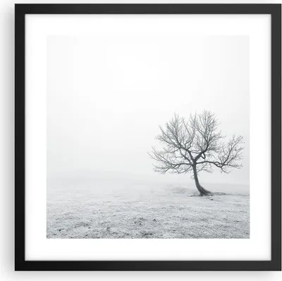 Produktbild von Gerahmtes Poster - Schwarzer Rahmen - Baum Feld Natur - 40x40 cm - Wand Bild - Wanddeko - Wandbilder - Kunstposter - Wandposter - Bilderrahmen - Bilder - Kunstdruck - Wandbild - P2BAC40x40-3683